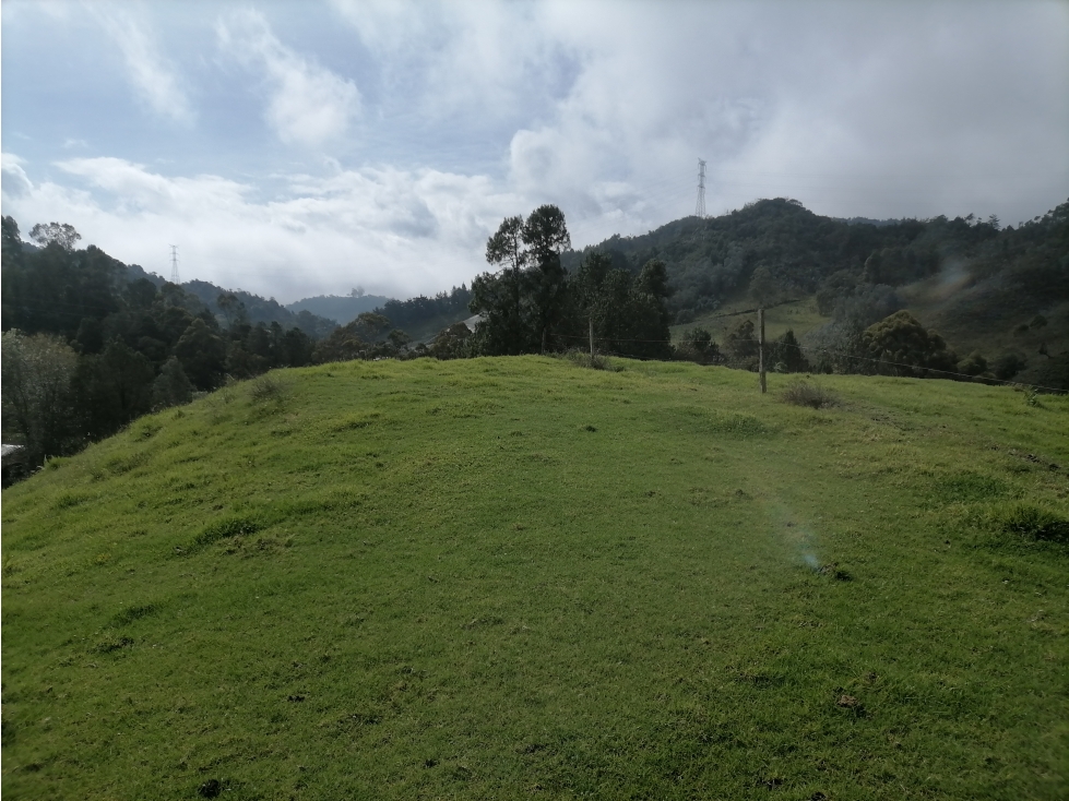 Finca La Ceja Antioquia